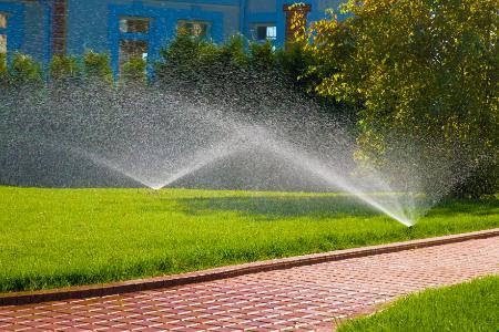 How To Spot Common Irrigation Problems Quickly